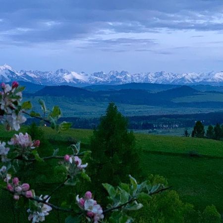 Koza U Woza Wypocznij W Gorach W Rytmie Slow Drewniany Dom Premium Z Widokiem Na Panorame Tatr Ecospa Strefa Fitness Zielona Farma Warsztaty (Adults Only) Szlembark Eksteriør bilde
