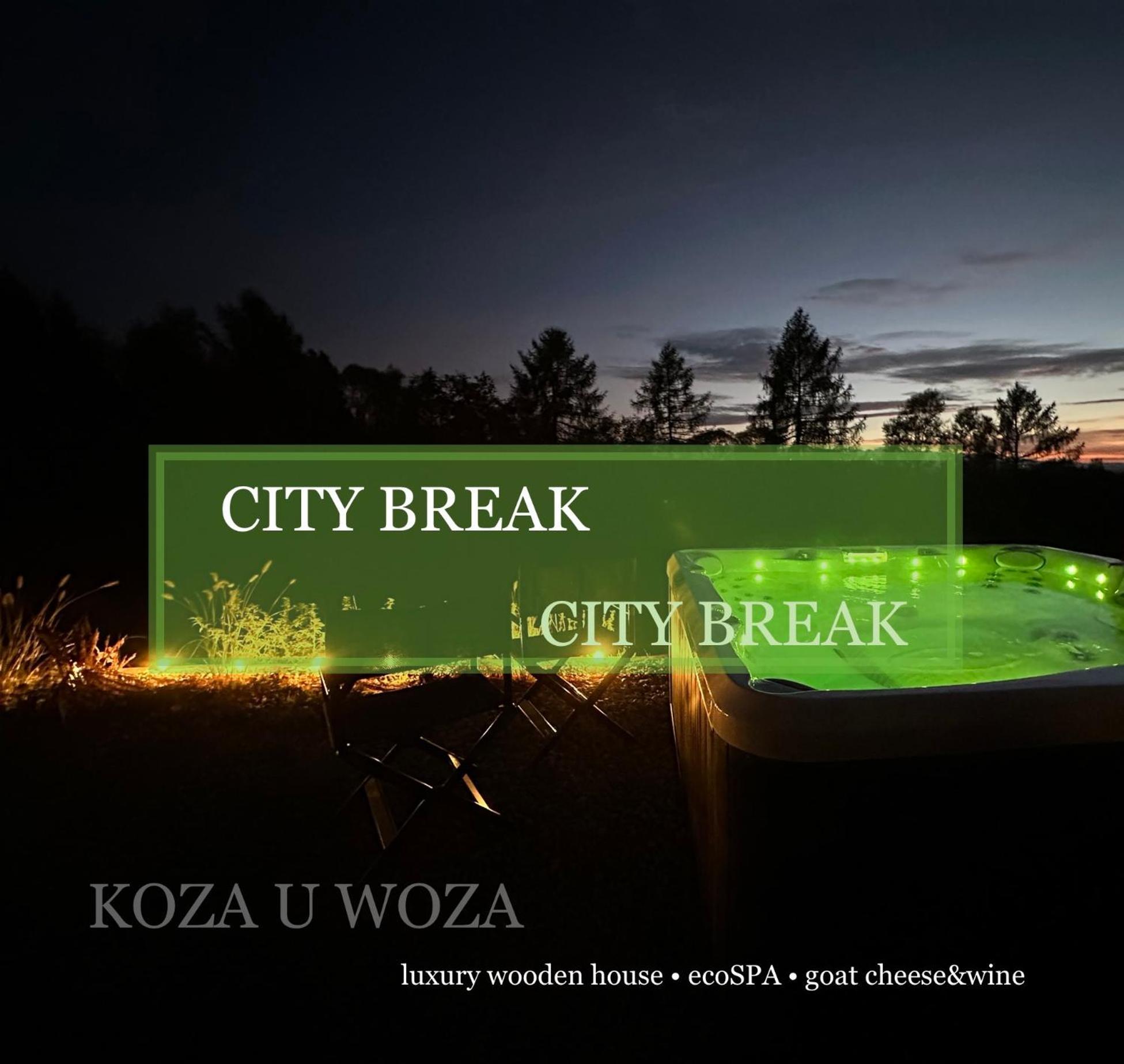 Koza U Woza Wypocznij W Gorach W Rytmie Slow Drewniany Dom Premium Z Widokiem Na Panorame Tatr Ecospa Strefa Fitness Zielona Farma Warsztaty (Adults Only) Szlembark Eksteriør bilde