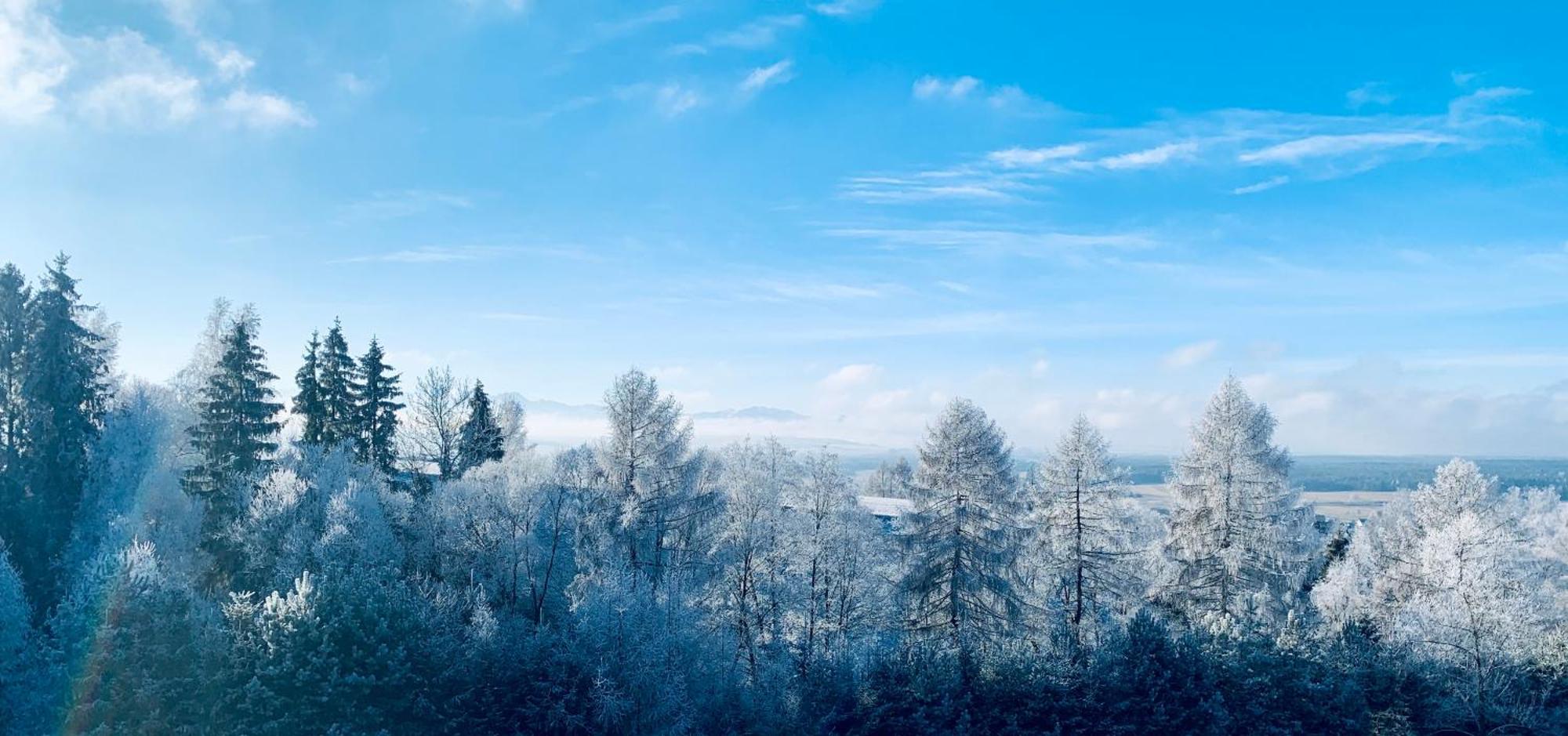 Koza U Woza Wypocznij W Gorach W Rytmie Slow Drewniany Dom Premium Z Widokiem Na Panorame Tatr Ecospa Strefa Fitness Zielona Farma Warsztaty (Adults Only) Szlembark Eksteriør bilde