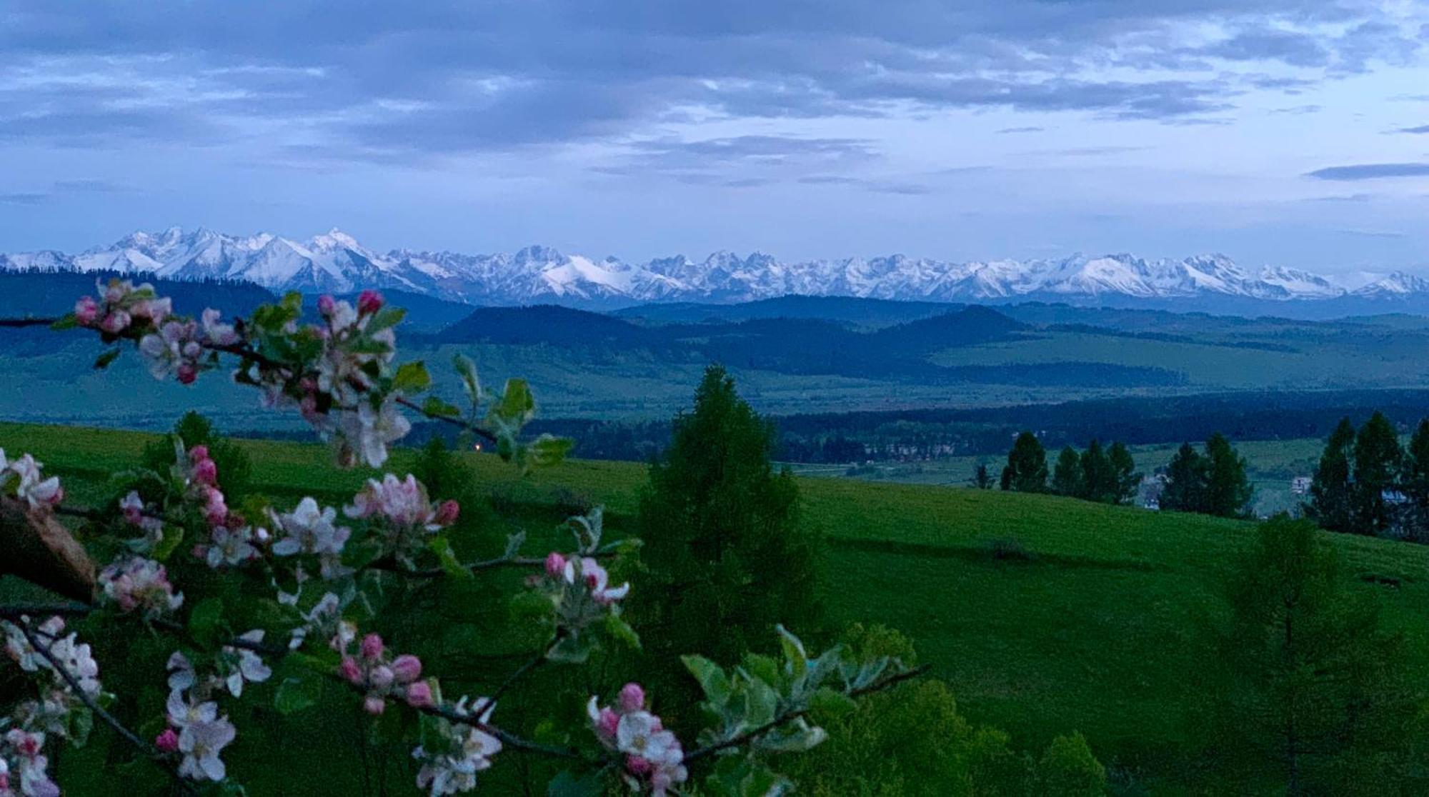 Koza U Woza Wypocznij W Gorach W Rytmie Slow Drewniany Dom Premium Z Widokiem Na Panorame Tatr Ecospa Strefa Fitness Zielona Farma Warsztaty (Adults Only) Szlembark Eksteriør bilde